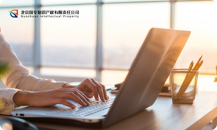 北京國專知識產(chǎn)權有限責任公司