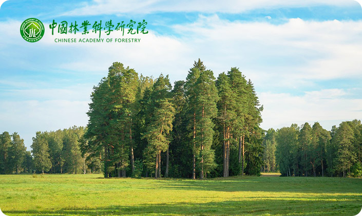 尚品中國承接中國林業科學研究院網站建設項目